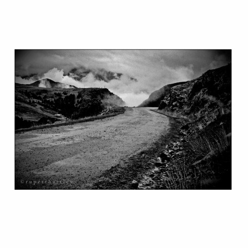 Rupert Hartley Prints 