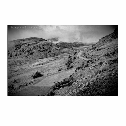 Rupert Hartley Prints