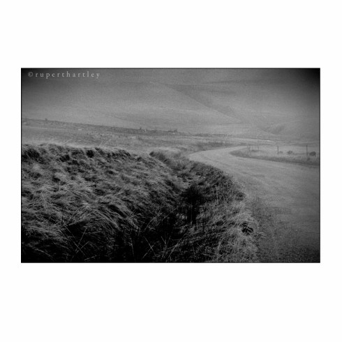 Rupert Hartley Prints